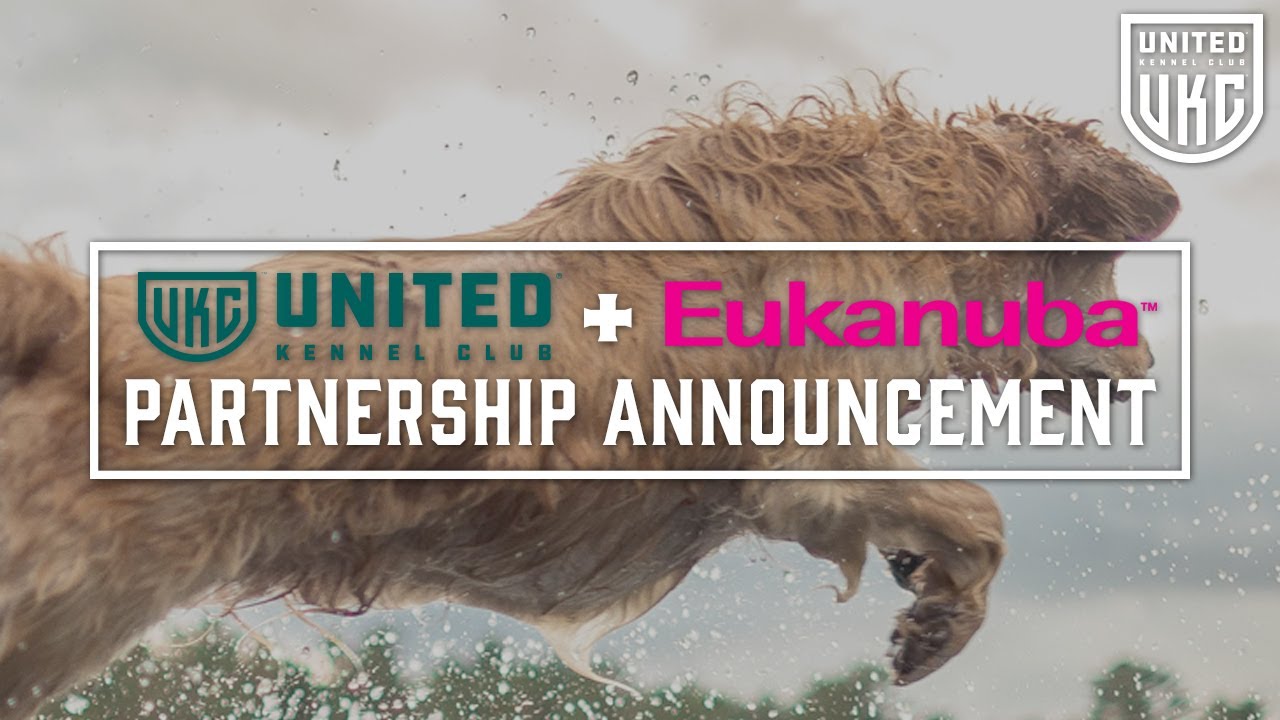 UKC + Eukanuba: Supporting Dogs That Do More™
