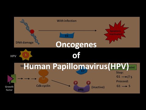 Human papillomavirus anogenital infection icd 10