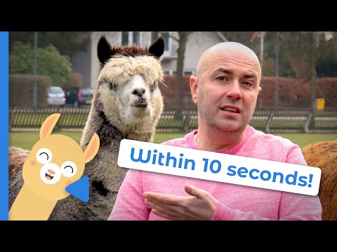 Jeroen Jansen from Microsoft explains why WorkplaceBuddy is so ...