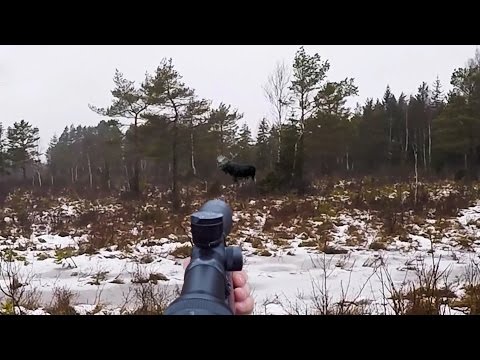 Охота #100 сборник лучших моментов на охоте