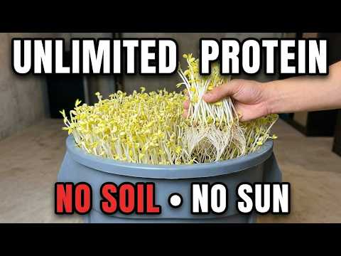 Grow Unlimited Protein In A Trash Can. No Soil. No Sunlight. The 5 Min Setup.