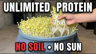 Grow Unlimited Protein In A Trash Can. No Soil. No Sunlight. The 5 Min Setup.