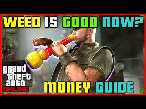BEST BUSINESS EVER? MAKE MILLIONS WITH THE MC WEED BUSINESS | Money Guide | GTA 5 Online #gta