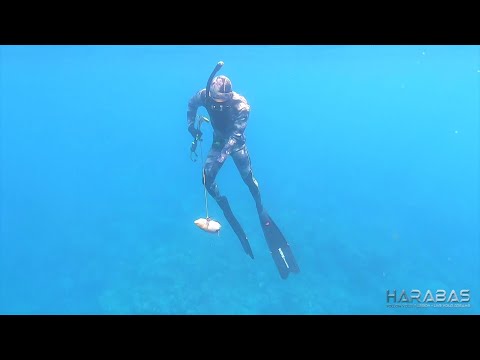 EP360-Part 1 - Spearfishing | Occ. Mindoro