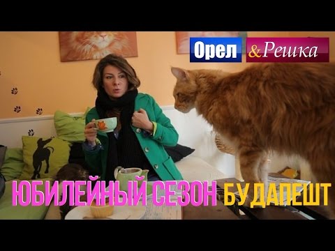 Орел и решка. Юбилейный сезон - Венгрия 