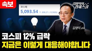 [속보] 이틀 연속 코스피 급락.. 지금 필요한 투자대응 전략ㅣ김영익 교수 공식 채널