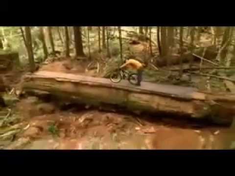 NWD 9 Official Trailer