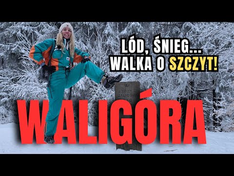 Waligóra Najstromszy Szczyt Sudetów?