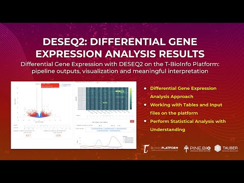 Differential Gene Expression: Bulk RNA Seq Analysis Results (DESEQ2 Output Review)