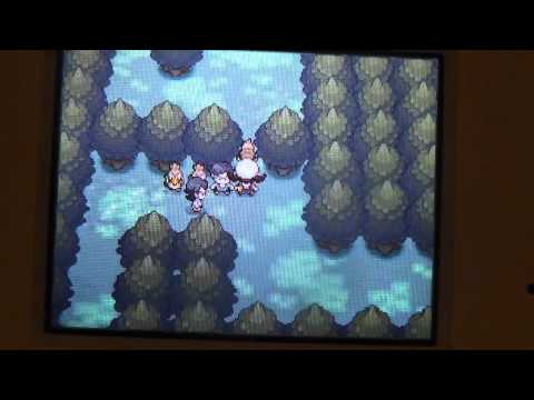 Pokemon Heart Gold part 17-Missing Farfetch'd