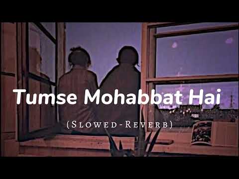 Tumse Mohabbat Hai Slowed-Reverb || Lofi Song ||