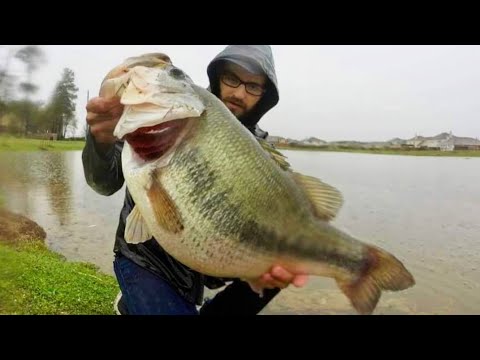 The BIGGEST BASS I've EVER SEEN!!! (INSANE)