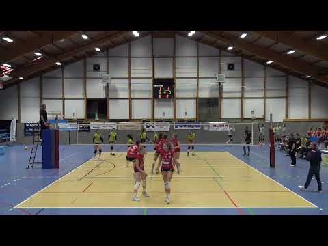 Hermes Rekkenshop Oostende - Asterix Avo Beveren