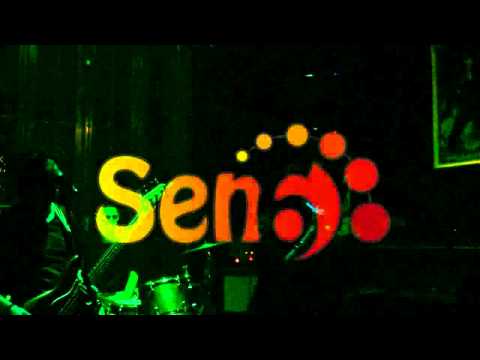 Senseis Funk Grooves - This World Cover / Satori Zen