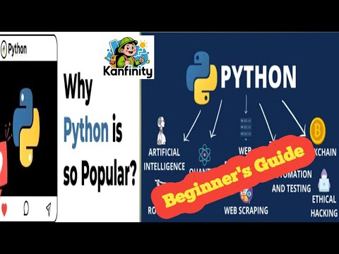 Why Everyone Loves Python The 1 Programming Language
