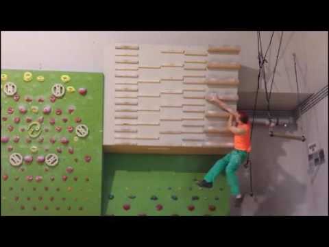 Campus Board training with Sebastian Halenke