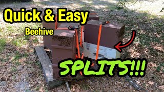 preview picture of video 'BEEKEEPING - SPLITTING BEEHIVES the QUICK & EASY Way'