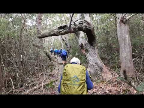 The Three Capes Track, Tasmania -- February 2026