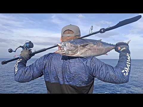 Tuna, Pagrus and Tunny - Shore Jigging in CROATIA