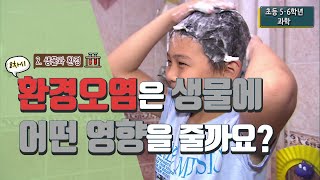 [초등 과학 5-2] 2. 생물과 환경 - 8차시 환경 오염은 생물에 어떤 영향을 줄까요?