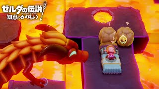 ボスの前で寝る女【ゼルダの伝説 知恵のかりもの】#10