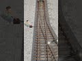 Trains Changing Tracks The Hidden Mechanism Revealed