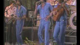 LOS CHUNGUITOS YO NO TE PUEDO DAR RIQUEZAS GRANDES EXITOS