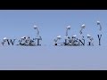 Ten Luxo Lamps Spoof Walt Disney With Slow Fast Time Reverse