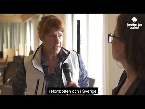 Så kan trädgårdsnäringen i Norrbotten stärkas