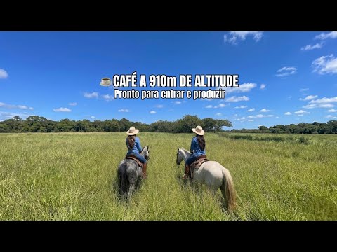 Fazenda de Café à Venda em Lavras MG | 57 Hectares | Altitude 910m