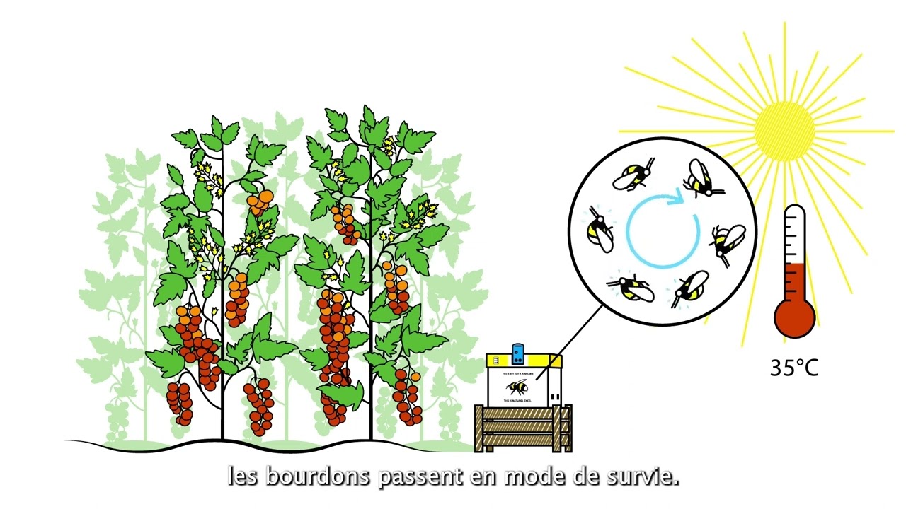 Video preview poster