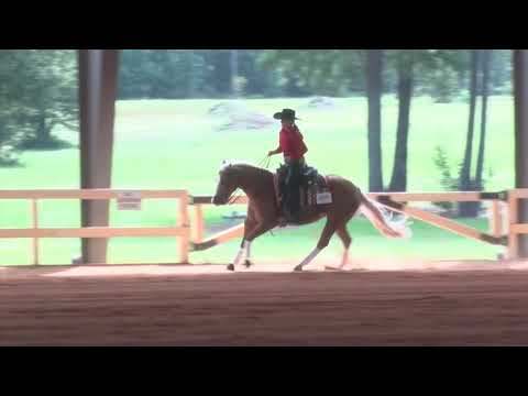 210828 Green Lyla Tuttle on Im Not A Wimpy Chic