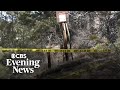 Woman Killed In Suspected Mountain Lion Attack In Colorado