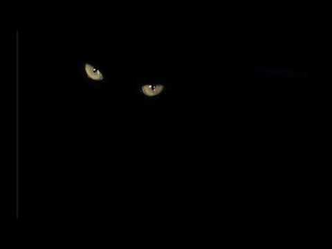 Gli occhi della pantera di Ambrose Bierce