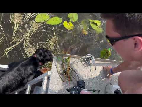 Bowfishing Gigantic Mississippi Bigmouth Buffalo with Hook & Trigger Guide Service