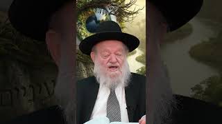 שמירת העיניים | הרב יוסף צ. בן פורת (הרב יוסף צבי בן פורת) - התמונה מוצגת ישירות מתוך אתר האינטרנט יוטיוב. זכויות היוצרים בתמונה שייכות ליוצרה. קישור קרדיט למקור התוכן נמצא בתוך דף הסרטון