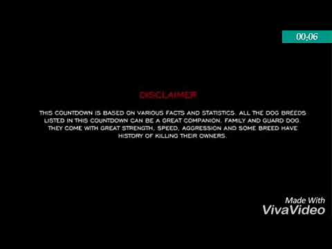 Top 10 deadly dogs
