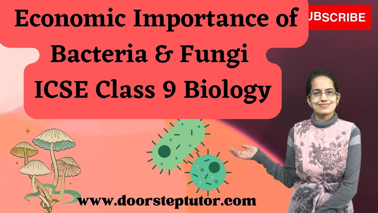 Economic Importance of Bacteria & Fungi | ICSE Class 9 Biology