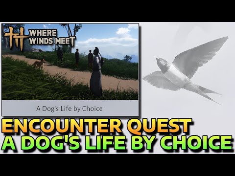 A DOG'S LIFE BY CHOICE - ENCOUNTER QUEST - HOW TO START & COMPLETE - WHERE WINDS MEET