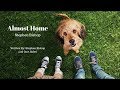 Benji 2018 Theme Song Almost Home Stephen Bishop FULL SONG
