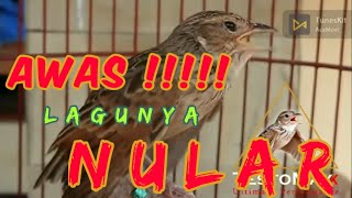 Download lagu ‼️ 𝙈𝘼𝙎𝙏𝙀𝙍𝘼𝙉‼️ BRANJANGAN GACOR ISIAN SIKATAN LONDO U/ MURAI KACER CUCAK IJO PENTET CENDET mp3 Download lagu ‼️ 𝙈𝘼𝙎𝙏𝙀𝙍𝘼𝙉‼️ BRANJANGAN GACOR ISIAN SIKATAN LONDO U/ MURAI KACER CUCAK IJO PENTET CENDET mp3