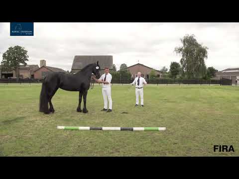 Locatiekeuring Stal Hestegaarden 25-7-2020