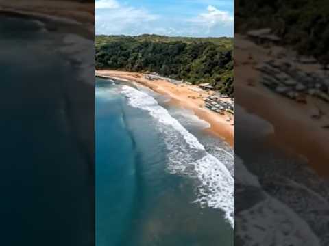 Falésias Vivas! 🌊☀️ Praia de Pipa, o santuário onde golfinhos e natureza esculpem o RN! ✨ Mar e sol.