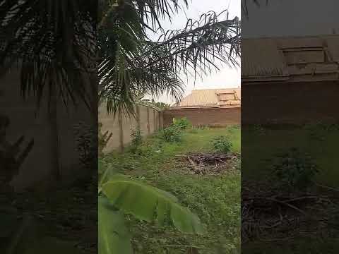Full Plot of Dry Land at Ijegun Ije-Ododo