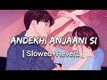 Andekhi Anjaani Si Slowed Reverb Lata Mangeshkar Udit Narayan Lofi Song Textaudio