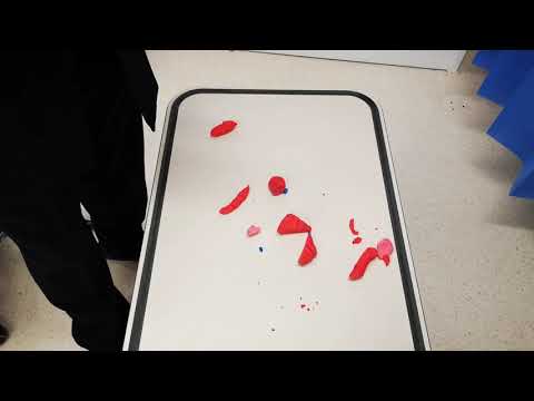 Cardiac Anatomy for Transthoracic Echo part 2