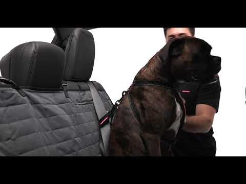 The EzyDog Car Restraint
