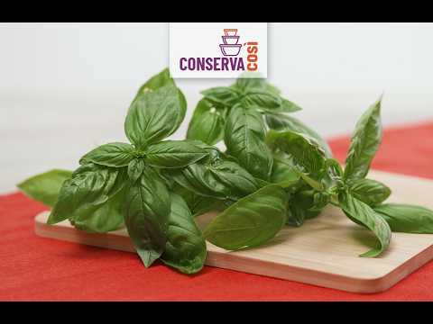 Conserva Così: il basilico