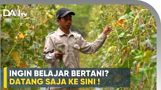 Download lagu Basic Farming Knowledge for Beginners mp3
