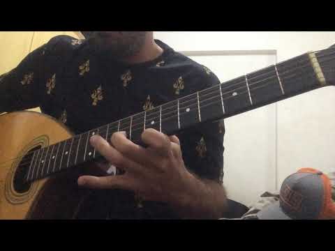 Tô No Barato - Planta e Raiz